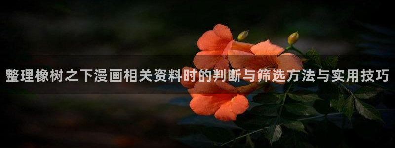 梦漫漫画热血漫画：整理橡树之下漫画相关资料时的判断与筛选方法与实用技巧