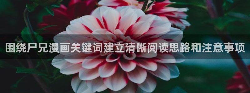 梦漫漫画APP最新漫画：围绕尸兄漫画关键词建立清晰阅读思路和注意事项