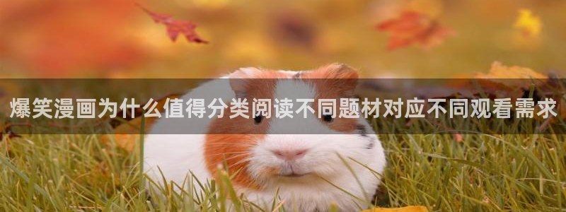 梦漫漫画连载推荐：爆笑漫画为什么值得分类阅读不同题材对应不同观看需求